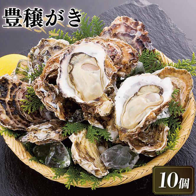 牡蠣10kg‼︎生食可能‼︎ 15時まで即日発送も可能】生食用牡蠣10kg 約100粒 宮城県産 殻