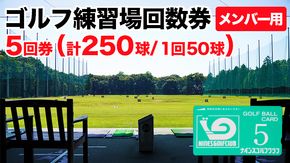 ゴルフ練習場回数券 5回券（250球） メンバー用 イベントやチケット ゴルフ場利用券 打ちっぱなし 回数券 アウトドア メンバー [CD001ya]