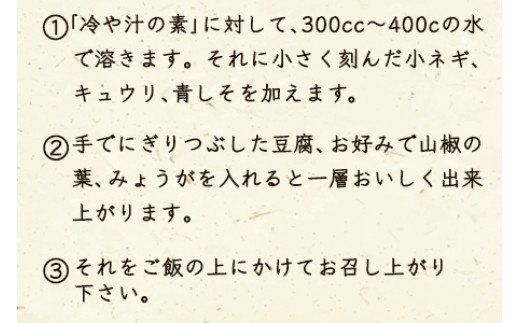 ＜宮崎郷土料理 冷や汁 10個セット＞翌月末迄に順次出荷【a0043_ko】