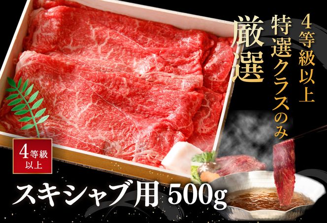 【4等級以上】近江牛スキシャブ用【500g】折箱入り【H002U】