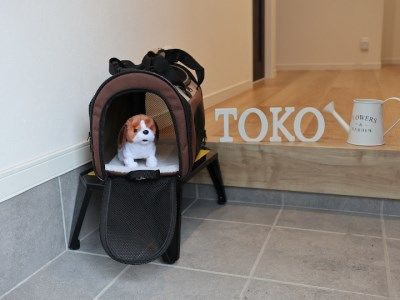 「男前」シリーズ　ステップ☆フォースター　ブラック