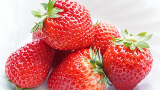 y錧΂݂炢szy Ε lt zԂƃVC}XJbg̕Δ 36y2025N12甭Jnzi錧ʕԗi []F闢Y@[Ԃǂ]Fsj   C`S  C`S VC}XJbg }XJbg Δ