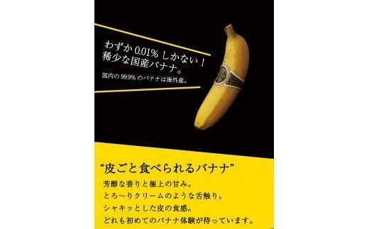 国産バナナNEXT716　レギュラーサイズ「12本」 [H5804P]