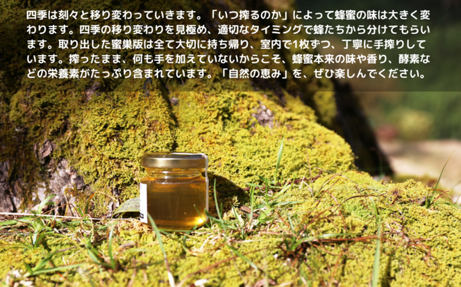 国産はちみつ 百森蜜 チーチョの森180g A-MM-A20A