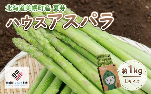 【先行予約】2026年産 ハウスアスパラ(夏芽) L サイズ 約1kg【配送不可地域：離島】（2026年7月1日より順次発送）BHRG017