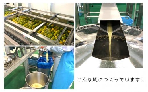 大分かぼすゼリー　140g×24個_1768R