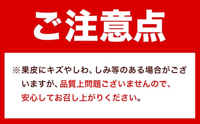 紀州和歌山有田産 ゆら早生みかん 選べる 約5kg 約10kg 株式会社魚鶴商店《2026年10月-11月頃出荷》 和歌山県 日高町 みかん 早生 柑橘---wsh_utsywm_10g11j_25_13000_5kg---