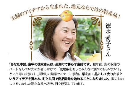 熊本県産梨 梨ジャム3個セット あなた本舗《30日以内に出荷予定(土日祝除く)》---sn_anatajam_30d_r7_12500_540g---