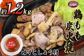 ＜鶏もも炭火焼 約1.2kg（約150g×8パック）＞4か月以内に順次出荷【a0545_mj_x1】