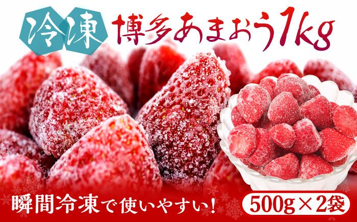 福岡県産[博多冷凍あまおう]約500g×2袋 合計約1kg[築上町][株式会社H&Futures][ABDG005]