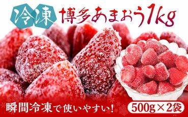 福岡県産[博多冷凍あまおう]約500g×2袋 合計約1kg[築上町][株式会社H&Futures][ABDG005]