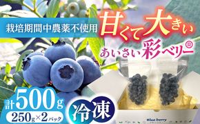 ＼毎年7月より順次発送/あいさい彩ベリー（冷凍果実）250g×2パック 【あいさいベリーLABO】 ブルーベリー フルーツ 冷凍 [AEBZ003]