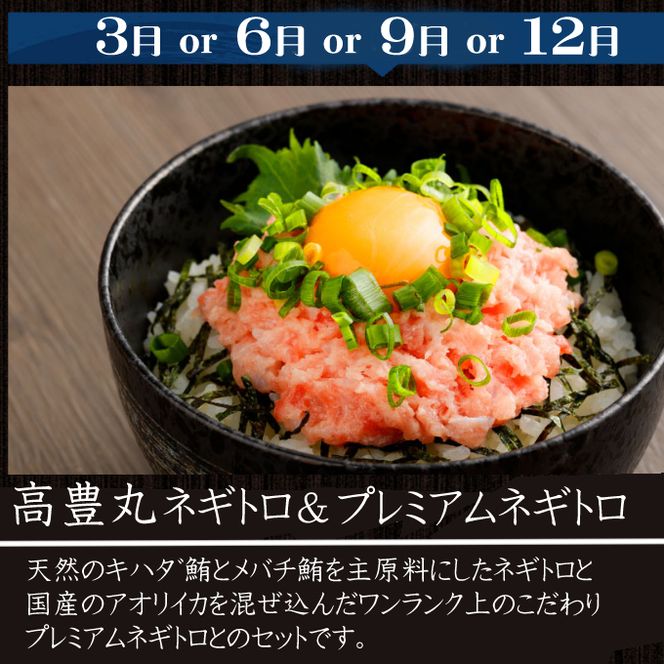 定期便 3か月連続 海からの贈り物！マグロとカツオの定期便 まぐろ マグロ 鮪  かつお カツオのたたき ネギトロ 中トロ 刺身 海鮮 鰹 冷凍 魚 海産物 魚介類 高知 まぐろたたき 藁焼き わら焼き 訳あり 不揃い 故郷納税 送料無料 室戸 all tk005