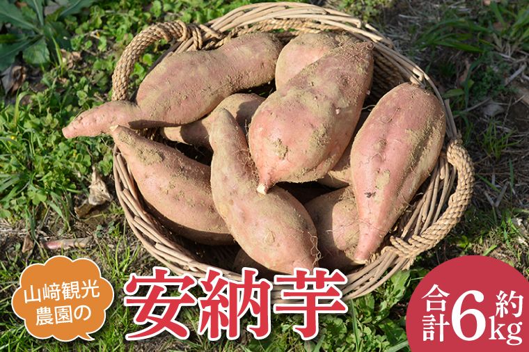 山﨑観光農園の安納芋 約6kg