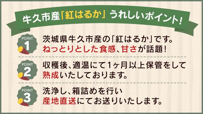 《 先行予約 》 茨城県 牛久市産 さつま芋 （ 紅はるか ） 5kg 箱入り 国産 野菜 サツマイモ 芋 生いも 生芋 べにはるか 期間限定 甘い 熟成 おやつ スイーツ デザート 焼き芋 産地直送 食物繊維 [EP001us]