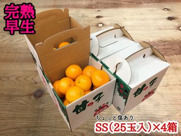 年内発送 手さげ箱 ちょっと 傷あり 完熟早生 有田みかん SS 25玉入 × 4箱 和歌山 南泰園 BS645