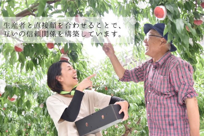 シャインマスカット 予約 2kg 相当 2回 定期便 計 4kg 【2027年発送】 NS-1011 韮崎翠緑セレクト [韮崎翠緑 山梨県 韮崎市 20742828] シャイン 山梨 やまなし ぶどう ブドウ 葡萄 マスカット 種なし 果物 フルーツ 山梨県産 産地直送 期間限定 季節限定 冷蔵