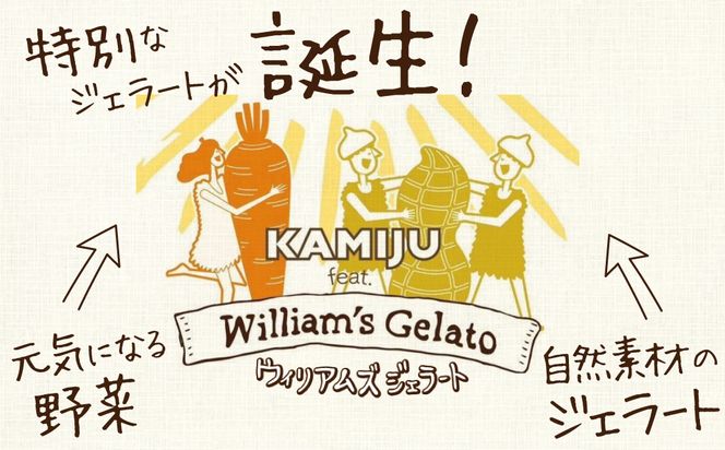 【4種のフレーバーを食べ比べ】ジェラート10個セット 映えるデザインが可愛いと話題に!! アイス スイーツ デザート 洋菓子 可愛い 詰め合わせ　H105-099