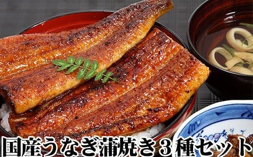 6.[うなぎ屋かわすい]国産うなぎ蒲焼3種セット(A6-1)