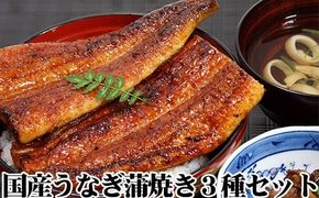 6.【うなぎ屋かわすい】国産うなぎ蒲焼3種セット(A6-1)