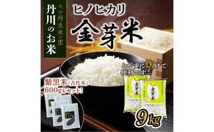 【B01014】ヒノヒカリ金芽米9kgと紫黒米（古代米）600g