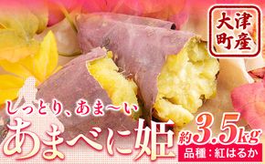 熊本県 大津町産 あまべに姫 (紅はるか) 約3.5kg ガブレス《12月上旬-3月末頃出荷》さつまいも 芋 紫芋 高糖度---so_gbabh_af123_r7_7500_3500g---