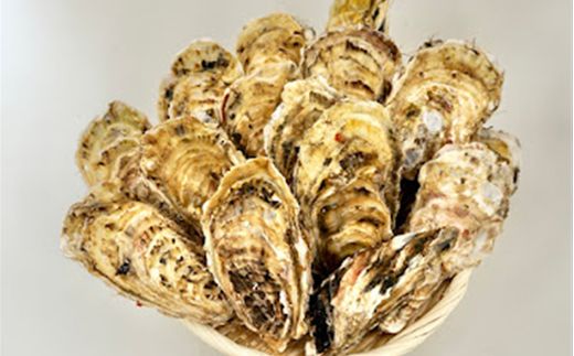 ＼先行予約／北海道 仙鳳趾名産 牡蠣 150g～199g×24コ+かきナイフ付き かき漁師直送 K3-4＜出荷時期：2026年7月1日～順次出荷＞＜センポウシ : 釧路町の東 厚岸湾の西 カキの名産地＞ | せんぽうし 牡蠣 生食用 殻付き 生牡蠣 絶品 産地直送 北海道 釧路町 釧路超 特産品 121-1268-57