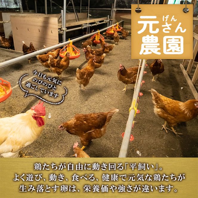 ＜定期便・全6回 (連続)＞平飼い赤鶏のたまご (総量300個・S-Mサイズ50個×6回) 元さん農園 卵 玉子 卵かけご飯 玉子焼き 平飼い 鶏 鶏卵 養鶏場直送 朝採れ 新鮮 大分県 佐伯市 【GE006】【 (株)海九】