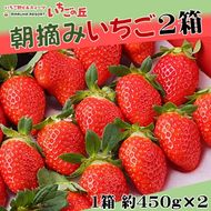 【2025年1月上旬発送開始】まるは食堂 マルハリゾート いちごの丘の『朝摘みいちご』2箱（1箱約450g） ※2025年1月上旬～3月下旬頃に順次発送予定 ※北海道・沖縄・離島への配送不可 ※着日指定不可