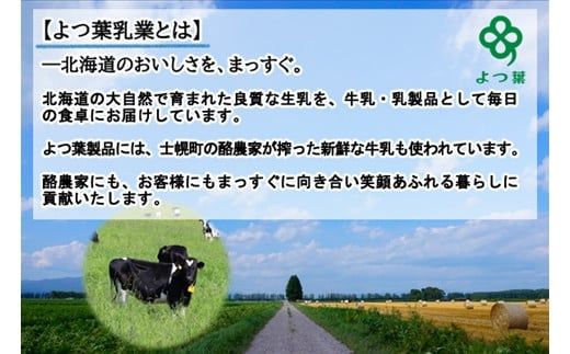 【CF】北海道 よつ葉 アイスクリーム バニラ 12個 セット アイス ミルク スイーツ カップアイス 贈り物 お取り寄せ 詰め合わせ 詰合せ 送料無料 十勝 士幌町【Y05】