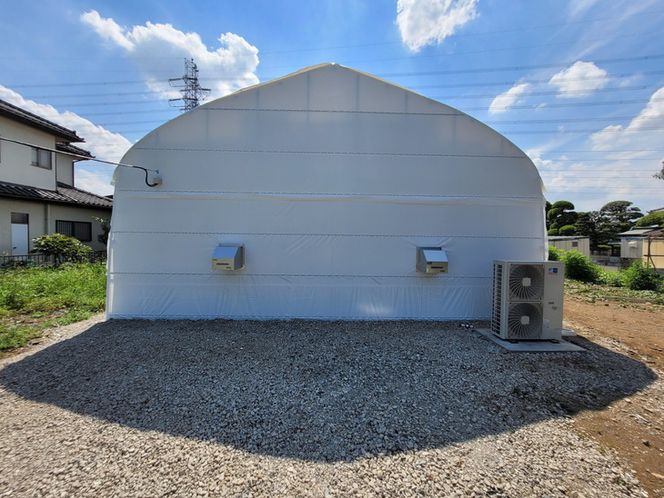 菌床しいたけ　1kg※離島への配送不可 FAA-148