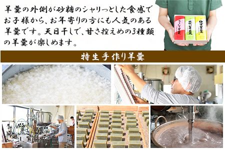 ＜特生手作り羊羹3本入りセット＞翌月末迄に順次出荷【c548_iy_x2】