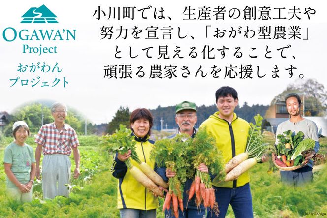 野菜 詰め合わせ 約3kg OGAWA'N [JA埼玉中央 埼玉県 小川町 135] やさい セット 野菜セット 詰合せ