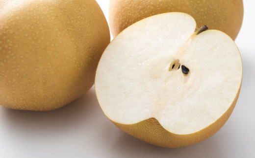 [厳選・産直]有田産の梨(豊水)約4kg★2026年8月中旬頃より順次発送  	BZ021