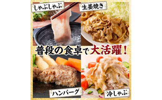 宮崎県産豚肉 4種 3.8kg 【 豚肉 豚 肉 宮崎県産 セット 切り落とし しゃぶしゃぶ ミンチ 送料無料 】[C11619]