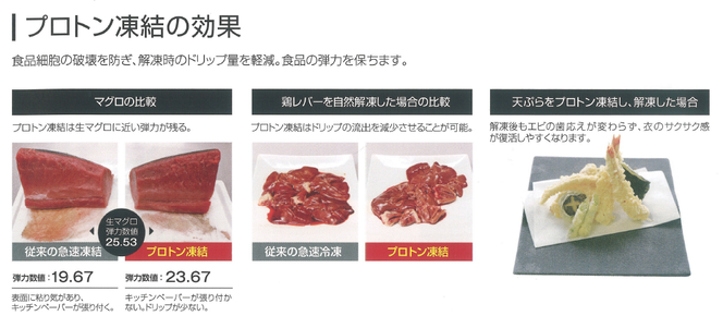 Fuji Berry 急速冷凍ブルーベリー1.5kg FAZ109