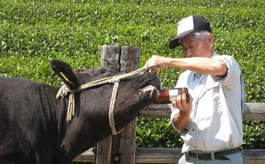 【5-6】松阪牛　しゃぶしゃぶ肉（ロース） 650g