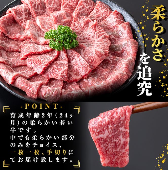 鹿児島県志布志市産(国産交雑種) 横峯牛の赤身焼肉(600g×1P) b0-165