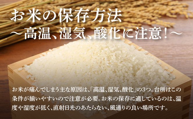 無洗米コシヒカリ 洗わんでいっちゃが５㎏✕６回定期便 計30㎏ K23_T007
