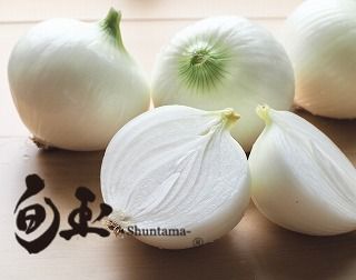 旨みと甘み 新玉ねぎ白しょうゆソース「はくの碧」(300ml×2本) 素材の旨みとコクを凝縮した万能調味料 化学調味料不使用 H105-159