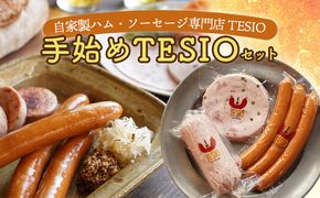 自家製ハム・ソーセージ専門店TESIO「手始めTESIO」セット（合計480g） 牛肉 豚肉 専門店 自家製 ドイツ製法 ソーセージ ウィンナー ウインナー ボローニャ モルタデッラ ハム お試し グルメ 朝食 おつまみ 手作り 食べ比べ 詰め合わせ 国産 沖縄県