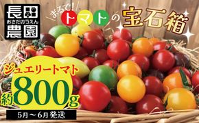 【お試し】まるでトマトの宝石箱！フルーツジュエリートマト 約800g H004-115