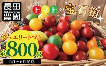 【お試し】まるでトマトの宝石箱！フルーツジュエリートマト 800g H004-115