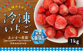 冷凍いちご 品種おまかせ 1kg　あかまつ農園 ＜苺 いちご イチゴ 果物 フルーツ 農家直送 レッドパール 紅い雫 紅ほっぺ 冷凍 スムージー ジャム お菓子づくり＞