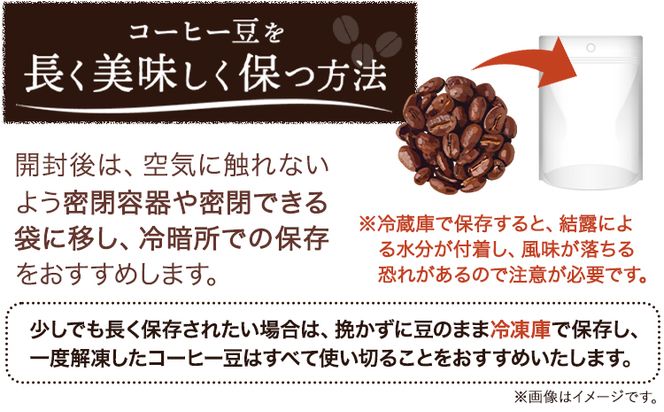 自家焙煎 コーヒー豆（キリマンジャロ・モカイルガチェフェ）各300g カリタ102 コーヒーフィルター 100枚 セット 厳選館《90日以内に出荷予定(土日祝除く)》 和歌山県 日高町---wsh_gsk21_90d_24_12000_300g---