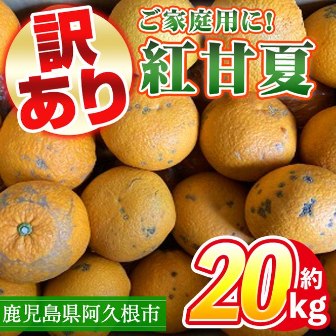 ＜先行予約受付中！2025年3月中旬以降発送予定＞訳あり！鹿児島県産まかない紅甘夏(約20kg)国産 鹿児島産 柑橘 訳アリ 果物 フルーツ 旬【三笠農業生産】a-12-138