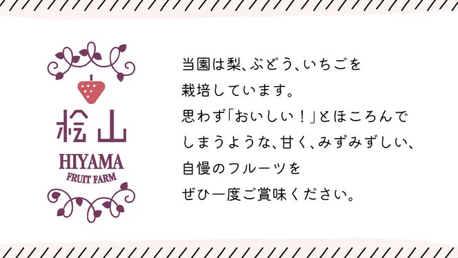 【 先行予約 】 いばらキッス ( 2パック )　特大 デラックスサイズ  【 2025年1月から発送開始 】  ( 茨城県共通返礼品 : 常陸太田市 ) 約 300g × 2 パック いばらキッス いばらきっす いちご 数量限定 果物 くだもの フルーツ 苺 イチゴ 期間限定 [ES014us]