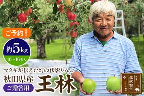 ＜先行予約＞りんご 王林（ご贈答用）約5kg (10〜16玉入) 伊東さんの「伏影りんご」 令和6年産 秋田県産 個数限定 リンゴ マタギのりんご|itff-00001