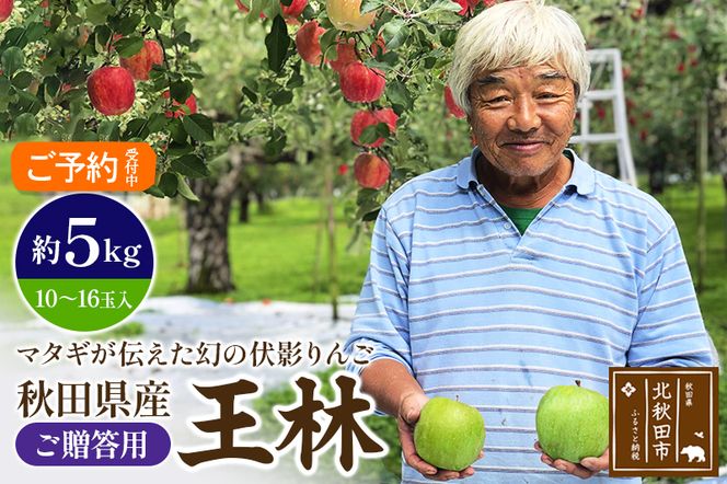 ＜先行予約＞りんご 王林（ご贈答用）約5kg (10〜16玉入) 伊東さんの「伏影りんご」 令和6年産 秋田県産 個数限定 リンゴ マタギのりんご|itff-00001