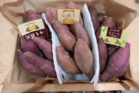 【先行予約／数量限定】直売所直送「京都・京丹後産 訳あり さつまいも3種食べ比べセット」計3kg（2026年10月下旬～発送）　国産 ふるさと納税 訳あり ふるさと納税 さつま芋 ふるさと納税 シルクスイート ふるさと納税 安納芋 紅はるか　JA00069